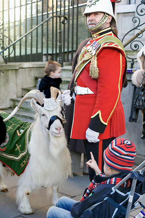 william-windsor-the-goat